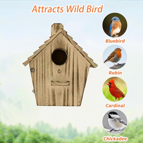 Bird House Bird Houses for Outside with Pole Wooden Bird House for Finch Bluebird House Cardinals Hanging Birdhouse Clearance Garden Country Cottages (B8) - color: brown