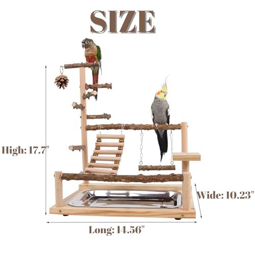 Bird Playground with Feeder Cups, Wooden Parrot Play Stand for Cockatiel, Parakeet