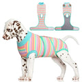 Recovery Suit for Dogs After Surgery,Soft Breathable Dog Bodysuit | E-Collar & Cone Alternative Surgical Suit,Male Female Dog Neuter Spay Suits Anti Licking Wounds Onesie Mint Green Stripes XS - color: Mint Green Stripes, size: Xs(back:8.3-11.4in,wt:4-7lb