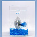 2 pcs Set Betta Floating Training Mirror for Fish Tank, Aquarium Feeding Floating Mirrors, Fish Toys, Bettas Toy