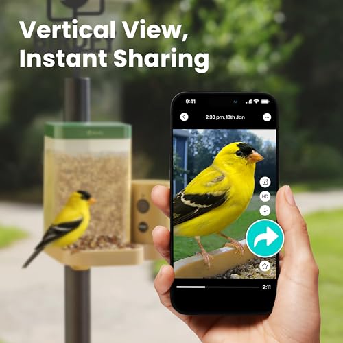 Bird Feeder with Camera for Rookie - Solar Powered Outdoor Bird Feeder with Dual Night Vision, AI Recognition, Slow Motion & IP66 Waterproof, Ideal for BirdLovers (AI by Subscription) - style: AI by Subscription
