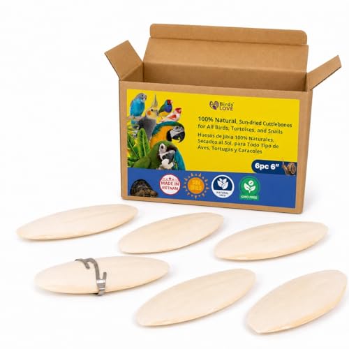 Birds LOVE 5.5-6″ Cuttlebone for Birds – 100% Natural Sun-Dried Calcium & Beak Conditioning Supplement for Parakeets, Budgies, Cockatiels, Finches & Canaries – 6 Pack with Holder – Made in Vietnam - size: 1 Count (Pack of 1)