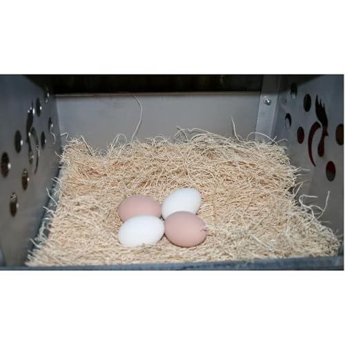 DUNCAN'S FAMILY FARM STORE Chicken Nesting Pads 13 x 13, 6 Pack, Aspen Excelsior Nest Pads with Kraft Paper Backing, USA-Sourced Nesting Box Pads for Chicken Coop, Cleaner Eggs, Easy Coop Cleanup - size: 6 Pack