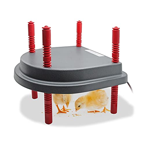Chick Duckling Brooder Heating Plate- Chicken Coop Brooder Heater Like Mother Hen,Safer Than Brooder Lamps Heater -Warm Up to 15 Chick,Ducklings(Chick Brooder Heating Plate)
