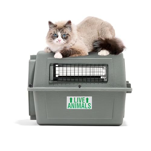 Petmate Sky Kennel For Air and Travel Airline Compliant Dog Crate for Smaller Dog Breeds or Pets up to 15 lbs, Heavy Duty Dog Kennel, Made in the USA- 21" L | Travel carrier made in USA, durable hard shell, secure door, great for air and road trips, safe