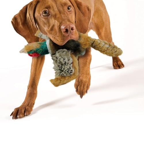 ALL FOR PAWS Dog Interactive Pheasant Toys, Squeaky Dog Toys, Stuffed Animal Dog Hunting Plush Toy, Small