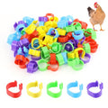 Tenalleys 100 PCS Chicken Identification Band 5Color Chicken Leg Rings 16mm Poultry Foot Rings Leg Bands Clip-on Rings for Poultry Identification