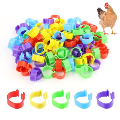Tenalleys 100 PCS Chicken Identification Band 5Color Chicken Leg Rings 16mm Poultry Foot Rings Leg Bands Clip-on Rings for Poultry Identification