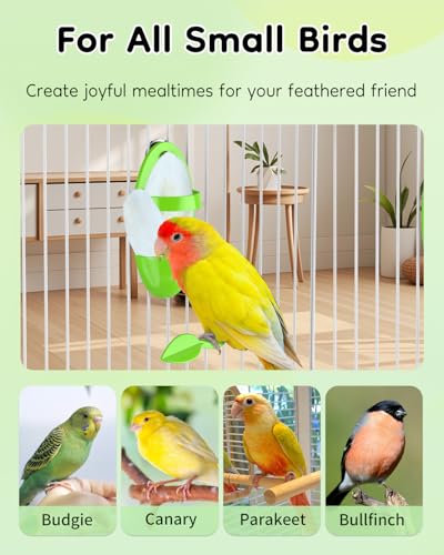 Pawfly 2 Pcs Bird Cuttlebone Holder, Cuttlefish Bone Parrot Feeding Rack, Hanging Bird Feeder with Perch, Plastic Holder for Fruits Vegetables Treats, Feeding Rack for Cockatiels