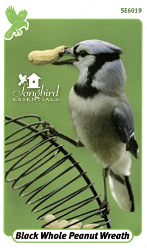 Whole Peanut Black Wreath Feeder for Squirrels and Blue Jays | 13 Inch Wreath; Whole Peanut Feeder; Attracts Jays; Hanging Design