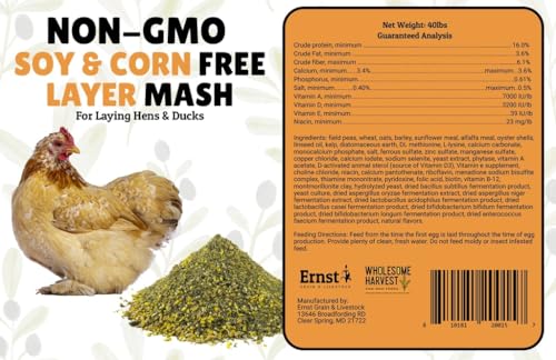 Non-GMO Soy Free-Corn Free Whole Grain Layer Mash (40 lb) - size: 40 Pound (Pack of 1), style: Layer Mash