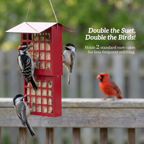 Solution4Patio Suet Bird Feeder for Outdoors, All Metal Bird Feeder for Wild Birds, Heavy Duty Galvanized Steel Hanging Feeder with Slide-Top Roof, Weather Resistant, Holds 2 Suet Cakes (Red) - color: Red