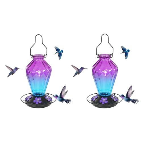 2 Pack Glass Hummingbird Feeder for Outdoors Hanging, 25Oz Humming Bird Nectar Feeder, Perch, 5 Flower Feeding Ports, Leak Proof Base, Hook for Outside Garden Backyard, Diamond Purple - color: Diamond Purple-2
