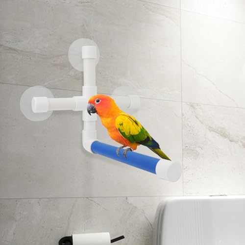 Hypeety Portable Suction Cup Bird Window and Shower Perch Toy Parrot Stand | 3 strong suction cups, parrot bath perch, easy to install, fits windows/shower tile, for budgies/parakeets/lovebirds, blue