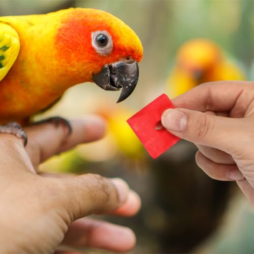 Sumind 80 Pieces Bird Toy Wooden Blocks Parrot Chewing Toys Mini Wood Chips Small Animals Cage Accessories for DIY Playing Chewing Shredding Mixed Large Bird Toys, Random Color - style: Wood Blocks