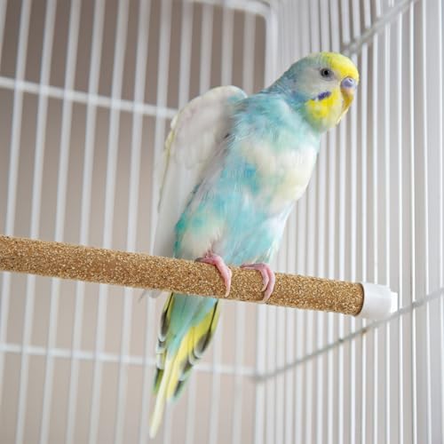 Okllen 60PCS Sand Perch Covers for Bird Cage, Perch Covers for Parakeet, Lovebird, Parrotlets, Budgies, Canaries, Finches and Other Small Birds