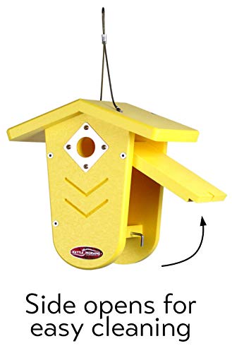 Recycled Moraine Bird House Nest Box for Wrens & Chickadees (Chocolate/Chocolate) - color: Chocolate/Chocolate