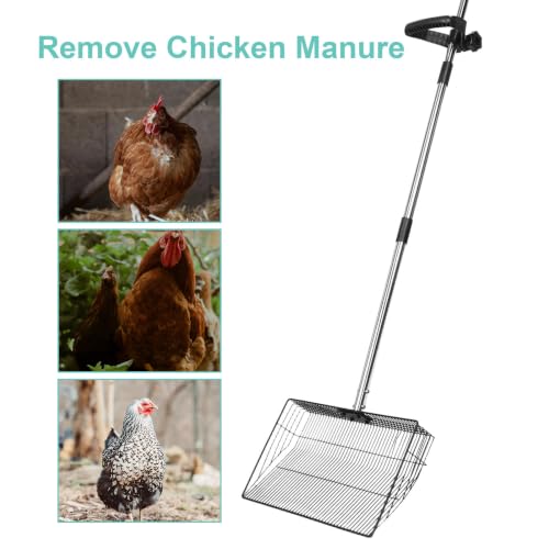 ULTECHNOVO Heavy Duty Long Handle Design in Poultry Manure Scooper Stainless Steel Wide Scoop Surface Efficient Cleaning and Poultry Operations and Chicken Coop