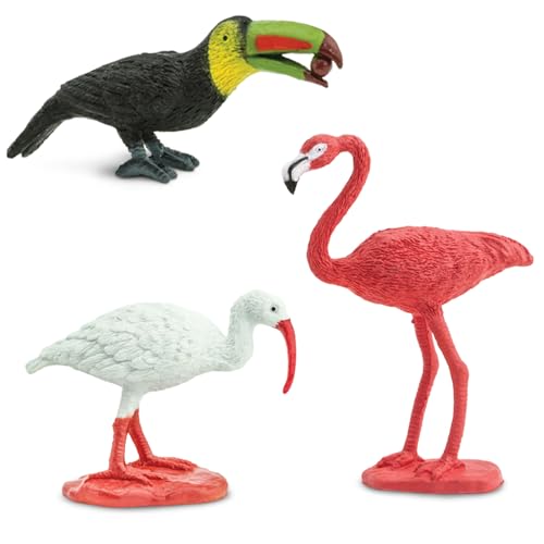 Safari Ltd. Exotic Birds TOOB - 10 Figurines: Parakeet, Quetzal, Macaw, Hummingbird, Toucan, Cockatoo, Flamingo, Snowy Owl, Parrot - Educational Toy Figures For Boys, Girls & Kids Ages 3+
