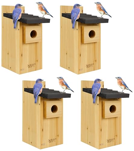Wild Wings WWCH3 Cedar Blue Bird Box House,(Pack of 4) - size: Bluebird Box House (Pack of 4)