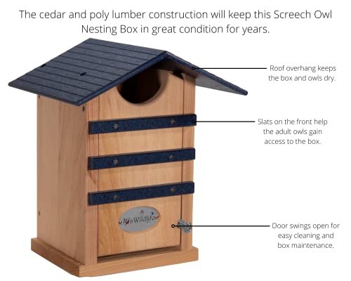 Screech Owl House Cedar Nesting Box with Poly Lumber Roof, Saw-Whet Owl Box for Outside, Drainage Ventilation, Easy Cleanout, Made in USA, Blue - color: Blue