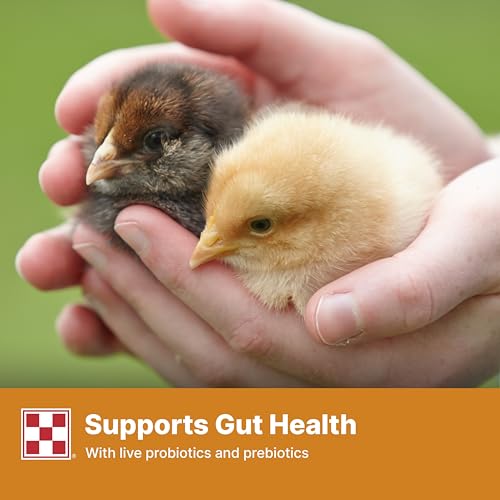 Purina Start and Grow | Non-Medicated Chick Feed Crumbles | Nutritionally Complete - 25 Pound (25 lb.) Bag