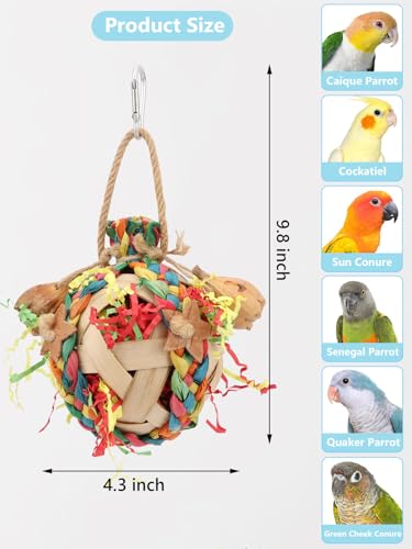 Wontee Bird Toys Colorful Shredding Crinkles Foraging Toys Natural Dried Fruits Chew for Cockatiels Conures Parakeets Budgies Senegal (1 Pack) - size: 1 Pack