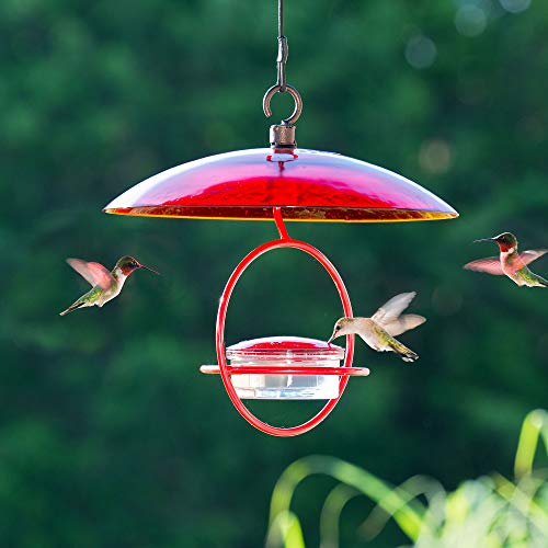 Hummingbird Feeder for Outdoors Hanging, 3.4 OZ Hummingbird Feeders, Glass Bowl with 4 Feeding Ports, Leak Proof Lid & Circular Perch, Bird Feeder (1, Red) - color: Red