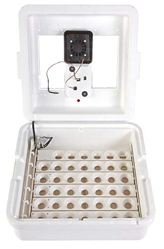 Little Giant White Miller Manufacturing Company 9300 Digital Still Air Incubator