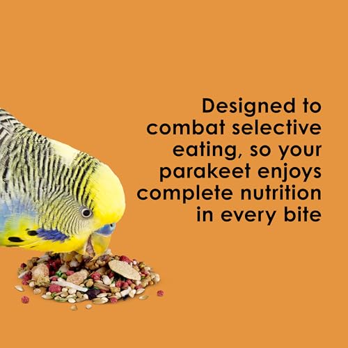 Kaytee Fiesta Parakeet Bird Food, Nutritious and Fun Blend, Supports Skin, Feather, Digestion, Brain and Heart Health, Bird Seed Mix, 4.5 Pounds - size: 4.5 Pound (Pack of 1)