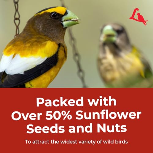 Lyric Supreme Wild Bird Seed - Wild Bird Food Mix with Nuts & Sunflower Seeds for Outside Feeders - Attracts Many Beautiful Songbirds - 4.5 lb bag | Wild Bird Food Mix with nuts and sunflower seeds for outside feeders - Attracts many beautiful songbirds