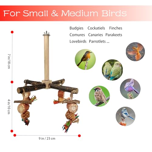 Bird Chew Toys Parrot Rotating Toys, Interactive Bird Cage Toys for Small Medium Birds, Durable Chewing Gnawing Beak Trimming Toys for Parakeet Cockatiel Conure Budgie Lovebird