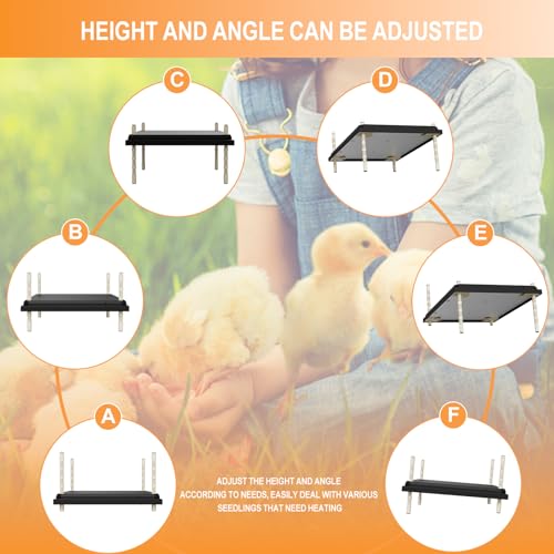 ZIDA Chick Brooders Heating Plate - 16 x 24 Inch Height and Angle Adjustable, Constant Temperature Setting 80w Brooder Heat Plate, Can Heat 50 Chicks, Low Decibel, Energy Saving and Safer