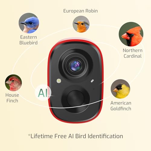 Smart Bird Feeder Camera,Vivid 2.5K Color Night Vision | Free AI Bird Identifier, Durable Squirrel-Resistant Metal Body, Solar Powered, Outdoor Gift for Mom Dad Birds Lovers - color: Red Camera