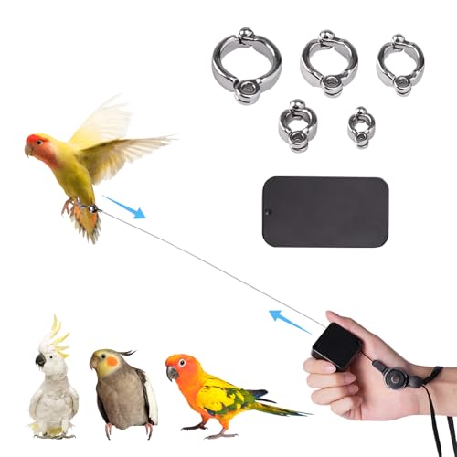 Bird Leash, with 5 Different Size Foot Ring and Feeder Box, Retractable Anti-Bite Parrot Harness, Bird Flight Training Rope for Budgies,Cockatiels,Psittacula Longicauda,Mini Macaws (13.12Ft) - size: 13.12FT