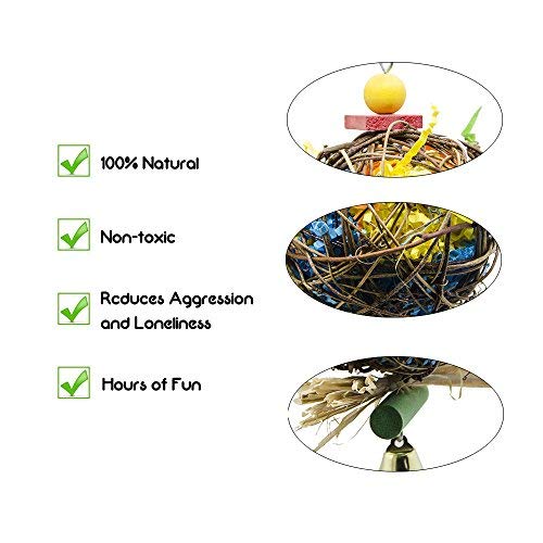 EBaokuup 2 Pack Bird Chewing Toys Foraging Shredder Parrot Cage Shredder Hanging Toy for Cockatiel Conure African Grey Amazon