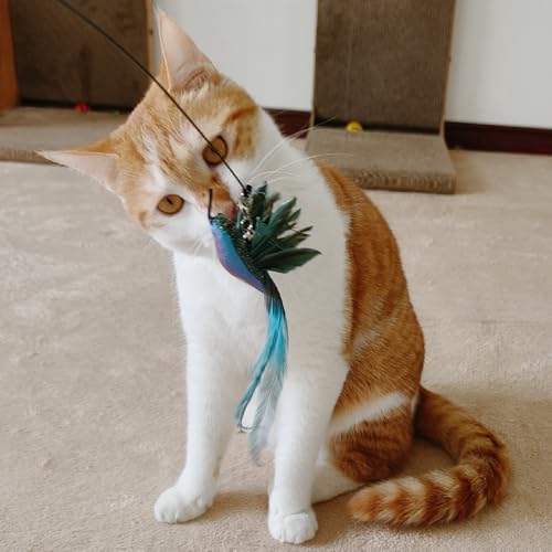 miwoowim 35" Steel Wire Cat Wand Toy & 6PCS Realistic Feather Bird Refills | Sturdy wooden handle for easy grip.Handcrafted birds with bells.Promotes active play, healthy exercise & bonding - color: 7 PCS Cat Wand Toy Birds