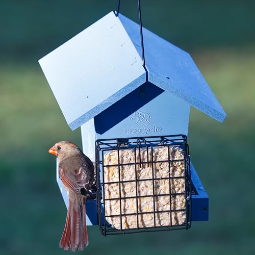 Hopper Hangout Recycled Plastic Hopper Bird Feeder with Latching Suet Cages & Fresh Seed Tray for Wild Birds and Outdoor Décor, 3 Quart Capacity, 2 Suet Cake, Blue