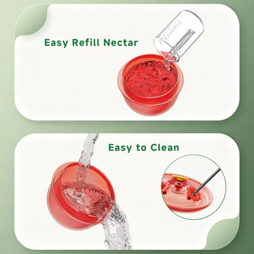 Window Hummingbird Feeder with Strong Suction Cups, 2 Pack 2.6 oz Small Hummingbird Feeder for Outside Window, Easy to Clean & Refill, Bee Resistant Feeding Ports for Bird Watching (Red)