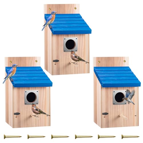 Dreyoo 3 Pack Bluebird Houses for Outside, 1-1/2'' Entrance Hole Wooden Bluebird Houses for Outdoors with Metal Guard, Secure Latch, Fledgling Grooves, Air Vents (Blue Roof with Wood Body)