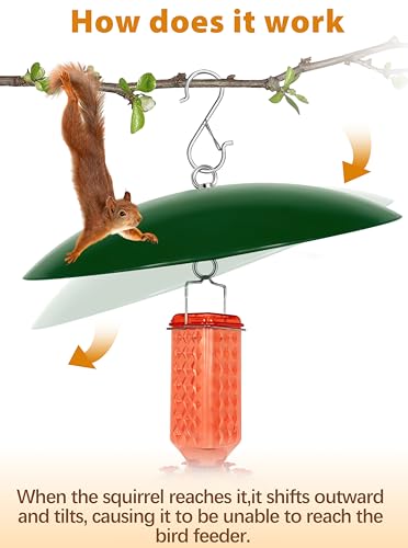 13" Bird Feeder Rain Cover,Bird Feeder Dome,Hummingbird Feeder Squirrel Guard,Proof Bird Feeders Baffle,Smart Birds Feeder's Umbrella(Green), 2Pack - color: Green, size: 13Inch / 2 Packs