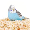MANON ROSA Wood Shavings for Bird Bedding - Natural Aspen Soft Low-Dust & Odor-Control Nesting Material for Parakeets Parrots Rabbits Cockatiel for Cages, Nest Boxes, Small Pet Litter - size: S(0.33lbs)
