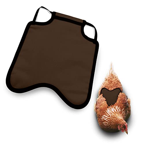 Hen Apron/Saddle, Single Strap, X-Large, Brown - color: Brown, size: X-Large