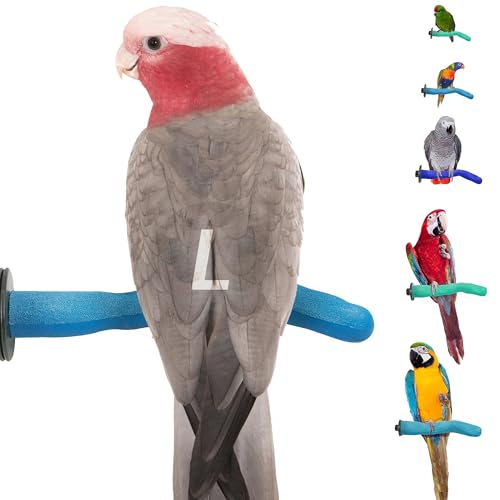 Sweet Feet and Beak Safety Pumice Bird Perch, Large Pedicure Perch, Blue | Plastic Bird Nail Trimming Perch, Pumice Coated Surface for Healthy Feet and Beak,12" Lightweight Perch, Available In 5 Sizes - color: Blue, size: Large 12"