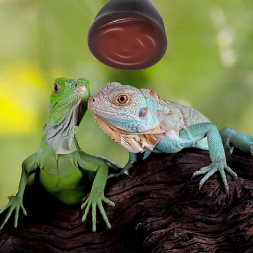 Mini Reptile Heat Lamp Bulb Ceramic Infrared Heat Emitter 4 Pack E26 | E27 No Light for Bearded Dragon Gecko Turtle Lizard Snake Chicken Brooder Nocturnal Terrarium Chameleon (50 Watts)