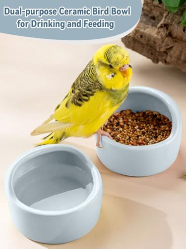 2 Pcs Bird Food Bowl Ceramic Bowls for Birds Small Parakeet Food Bowl Parrot Feeding Cups, Bird Cage Feede for Parakeets Conure Cockatiels Lovebird Budgie (Blue) - color: Blue