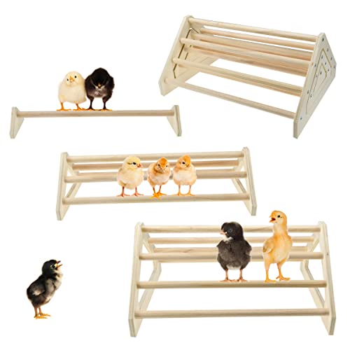 3 Pack Chick Perch Chick Toys Chick Wooden Roosting Bar Chick Jungle Gym Perch Stand for Chicken Brooder, Coop Baby Chicks