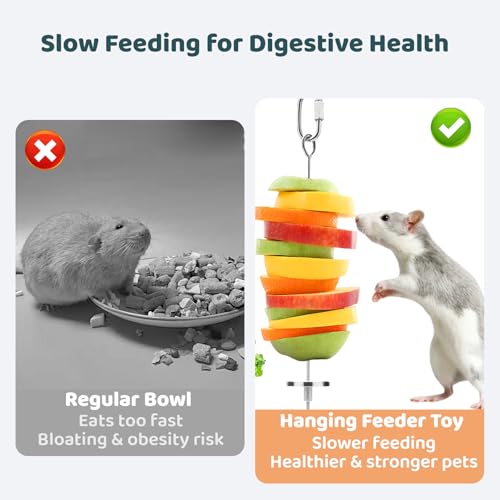 Rat Toys 2 Pack Cage Accessories, 304 Stainless Steel Veggie Fruit Slow Feeder Hanging Holder, Rodent Toys Foraging Enrichment Stuff for Bird, Fancy Mice, Hamster, Guinea Pig, Chinchilla Squirrel