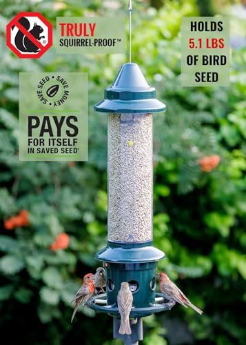 Squirrel Buster Plus Squirrel-proof Bird Feeder w/Cardinal Ring and 6 Feeding Ports, 5.1-pound Seed Capacity, Adjustable, Pole-mountable (POLE ADAPTOR SOLD SEPARATELY), Green | Cardinal ring, six ports, weight adjustment, pole-mountable, adapter sold sepa
