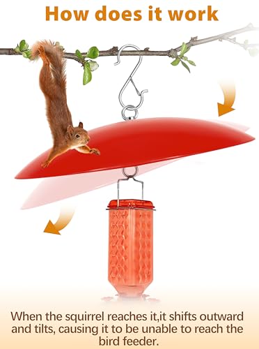 13" Hummingbird Feeder Dome Guard,Bird's Feeder Rain Cover,Squirrel Proof for Bird Feeders Pole, Smart Bird Feeders Umbrella(Bright Red), 1Pack - color: Bright Red, size: 13Inch / 1 Pack